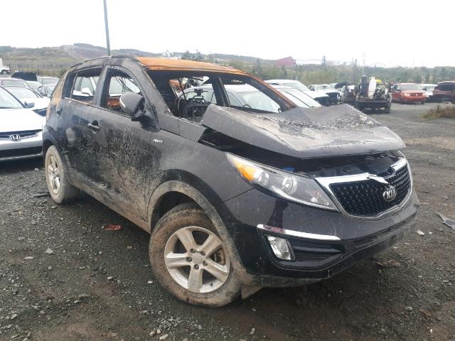 KNDPBCAC3G7807455 - 2016 KIA SPORTAGE L BLACK photo 1