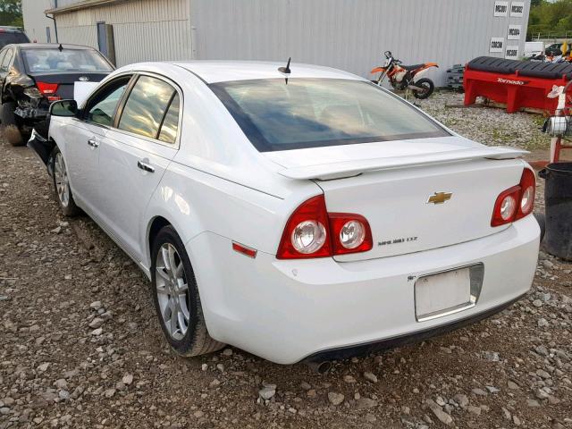 1G1ZE5EB3AF226959 - 2010 CHEVROLET MALIBU LTZ თეთრი ფოტო 3