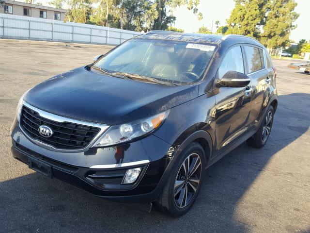 KNDPC3A65G7859869 - 2016 KIA SPORTAGE E BLACK photo 2