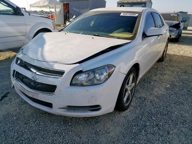 1G1ZH57B49F157022 - 2009 CHEVROLET MALIBU 1LT 白色 照片 2