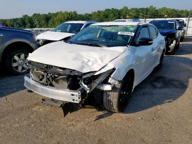 1N4AA6AP4HC446362 - 2017 NISSAN MAXIMA 3.5 WHITE photo 2