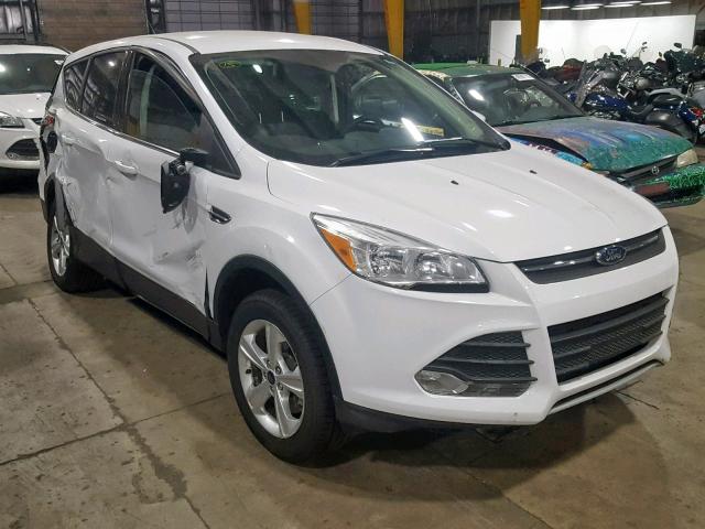 1FMCU9GX4DUA54811 - 2013 FORD ESCAPE SE WHITE photo 1