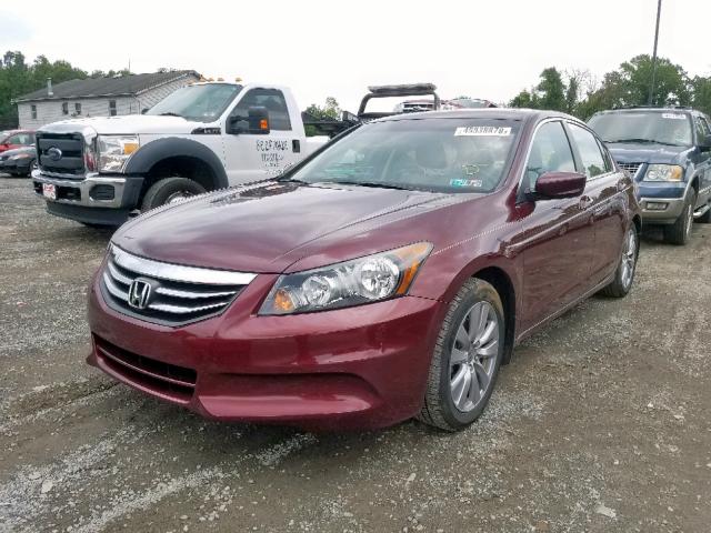 1HGCP2F80CA075704 - 2012 HONDA ACCORD EXL BURGUNDY photo 2