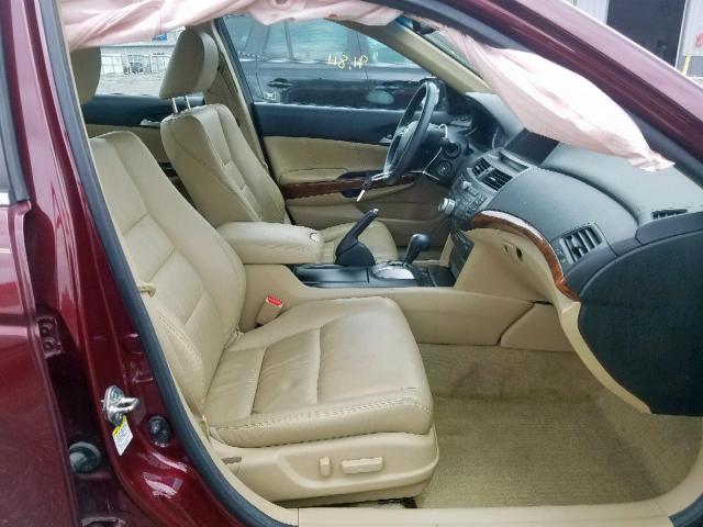 1HGCP2F80CA075704 - 2012 HONDA ACCORD EXL BURGUNDY photo 5