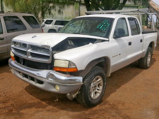 1B7GG2AN91S216466 - 2001 DODGE DAKOTA QUA WHITE photo 2