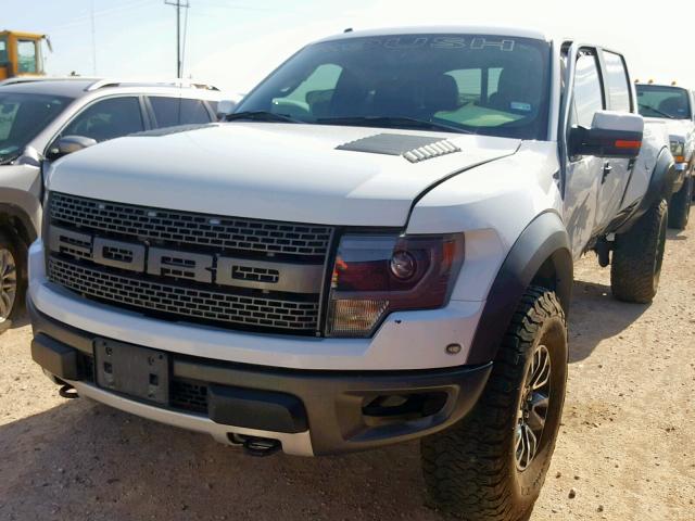 1FTFW1R66DFD42206 - 2013 FORD F150 SVT R WHITE photo 2