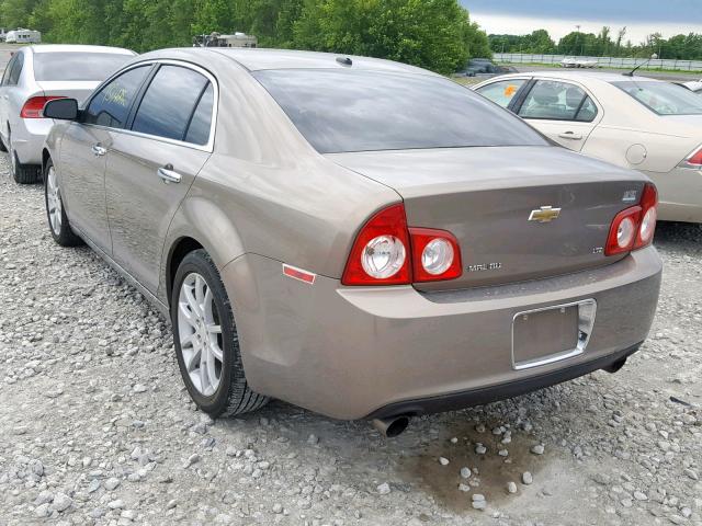 1G1ZK577X8F244967 - 2008 CHEVROLET MALIBU LTZ ყავისფერი ფოტო 3