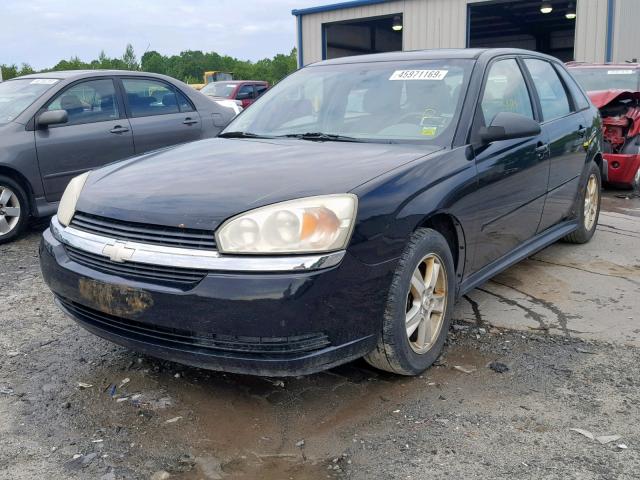 1G1ZT64824F184838 - 2004 CHEVROLET MALIBU MAX შავი ფოტო 2