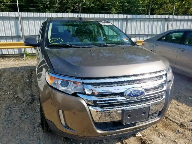 2FMDK4JC4DBA14625 - 2013 FORD EDGE SEL GOLD photo 1