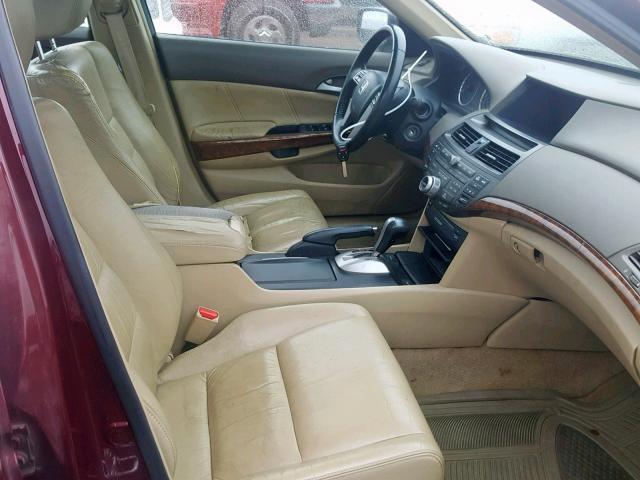 1HGCP26818A137456 - 2008 HONDA ACCORD EXL RED photo 5