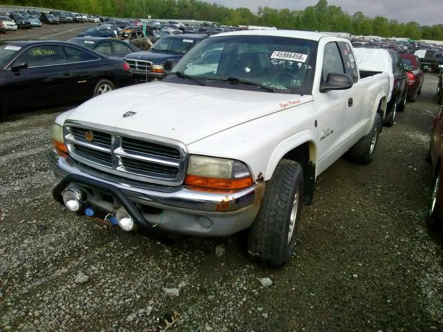 1B7GG22XX1S321176 - 2001 DODGE DAKOTA WHITE photo 2