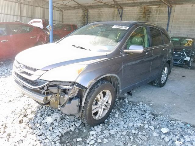 5J6RE3H70AL025275 - 2010 HONDA CR-V EXL GRAY photo 2