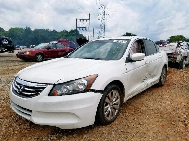 1HGCP2F85BA027176 - 2011 HONDA ACCORD EXL WHITE photo 2