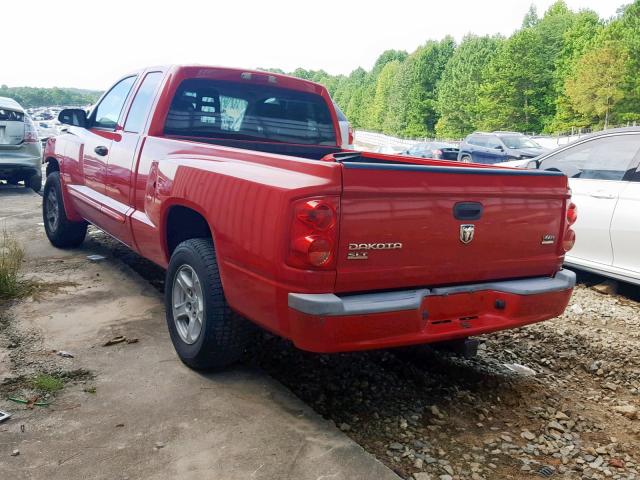 1D7HE42N45S183232 - 2005 DODGE DAKOTA SLT RED photo 3