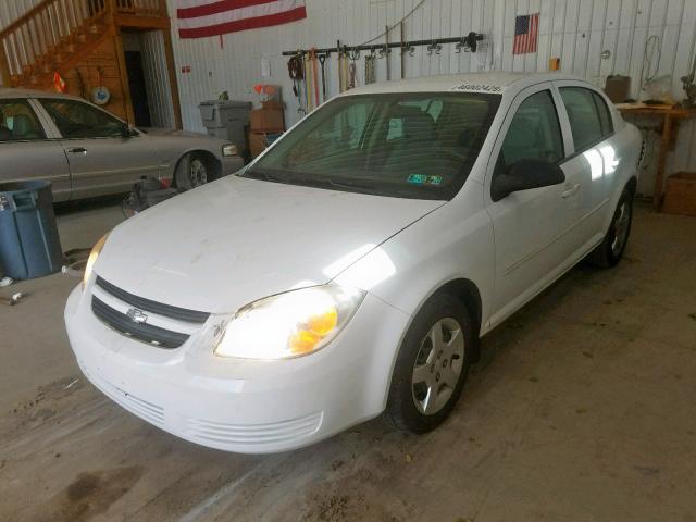 1G1AK52FX57578496 - 2005 CHEVROLET COBALT WHITE photo 2