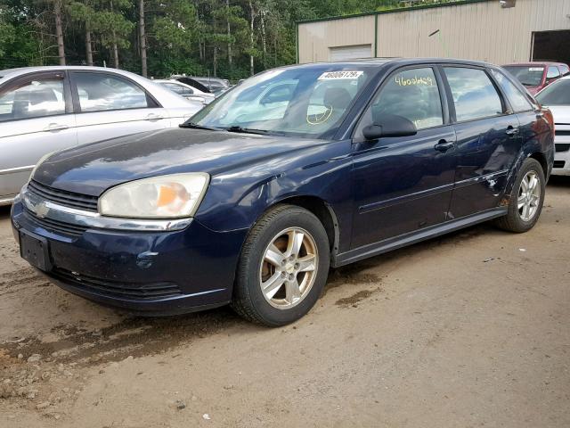 1G1ZT64855F156579 - 2005 CHEVROLET MALIBU MAX 蓝色 照片 2