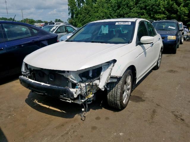 5KBCP3F86AB005053 - 2010 HONDA ACCORD EXL WHITE photo 2