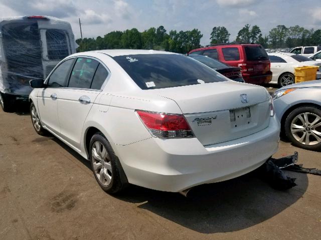 5KBCP3F86AB005053 - 2010 HONDA ACCORD EXL WHITE photo 3