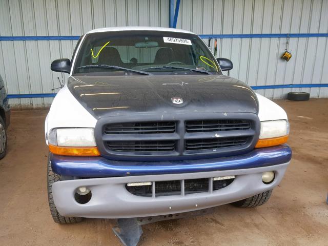 1B7GG22N0YS697491 - 2000 DODGE DAKOTA WHITE photo 9