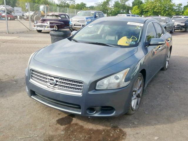 1N4AA5AP4AC837527 - 2010 NISSAN MAXIMA S GRAY photo 2