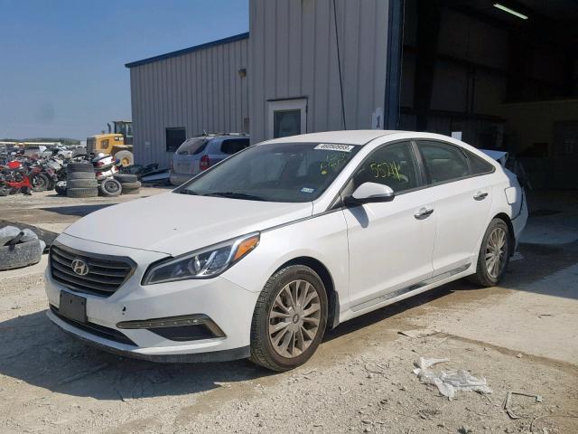 5NPE34AF2FH127660 - 2015 HYUNDAI SONATA SPO WHITE photo 2