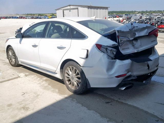 5NPE34AF2FH127660 - 2015 HYUNDAI SONATA SPO WHITE photo 3