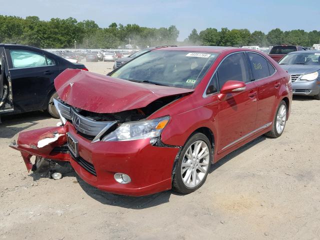 JTHBB1BA3A2008497 - 2010 LEXUS HS 250H BURGUNDY photo 2