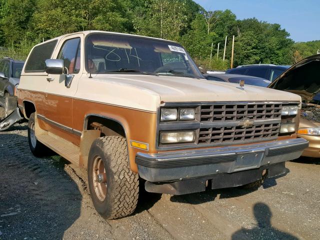 1GNEV18K0LF132591 - 1990 CHEVROLET BLAZER V10 TAN photo 1