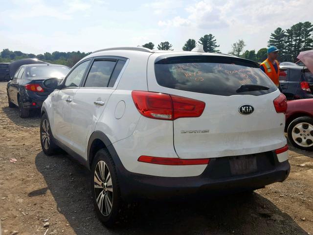 KNDPCCAC5F7718546 - 2015 KIA SPORTAGE E WHITE photo 3