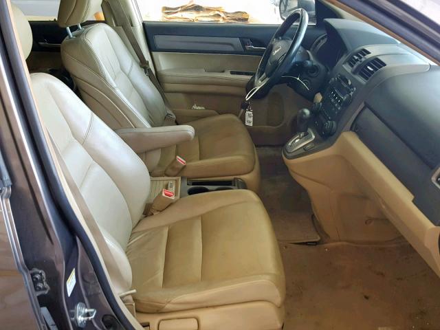 5J6RE38719L006620 - 2009 HONDA CR-V EXL TAN photo 5