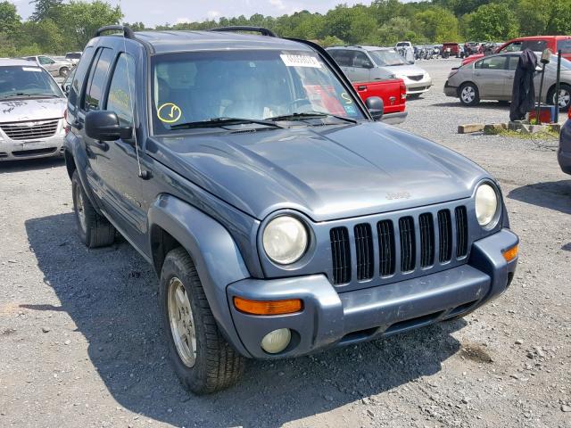 1J4GL58KX2W317206 - 2002 JEEP LIBERTY LI BLUE photo 1