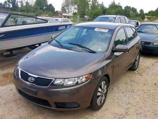 KNAFU5A21D5681321 - 2013 KIA FORTE EX BROWN photo 2