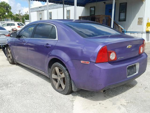 1G1ZC5E15BF185703 - 2011 CHEVROLET MALIBU 1LT PURPLE photo 3