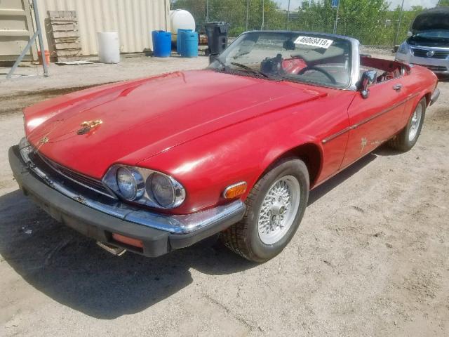 SAJNV4847KC165147 - 1989 JAGUAR XJS RED photo 2