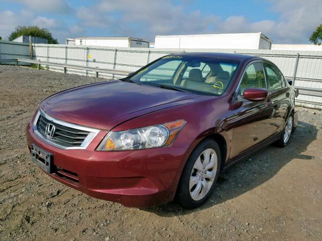 1HGCP26838A058242 - 2008 HONDA ACCORD EXL BURGUNDY photo 2