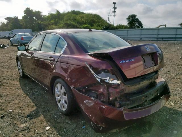 1HGCP26838A058242 - 2008 HONDA ACCORD EXL BURGUNDY photo 3