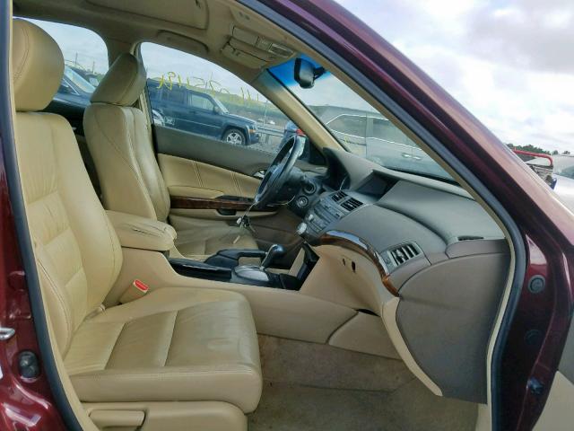 1HGCP26838A058242 - 2008 HONDA ACCORD EXL BURGUNDY photo 5