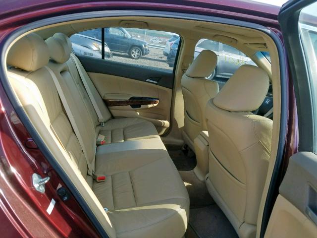 1HGCP26838A058242 - 2008 HONDA ACCORD EXL BURGUNDY photo 6