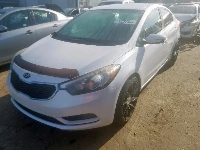 KNAFX4A84E5104225 - 2014 KIA FORTE EX WHITE photo 2