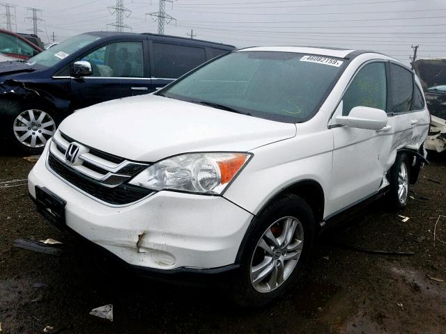 5J6RE4H78AL067229 - 2010 HONDA CR-V EXL WHITE photo 2