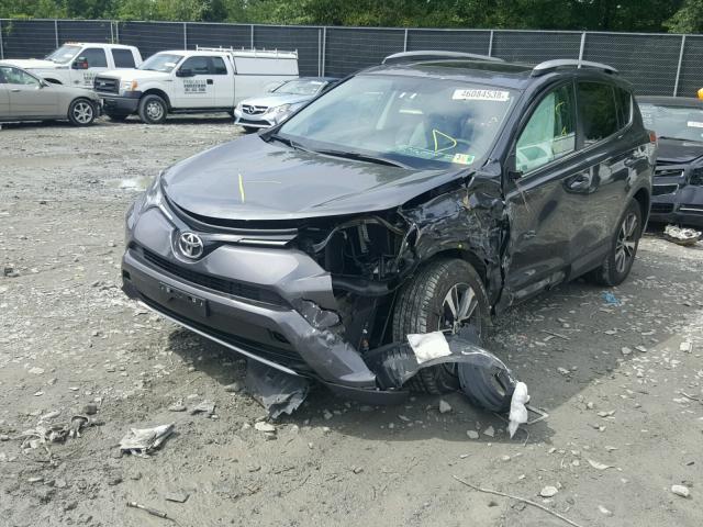 2T3RFREV2GW456439 - 2016 TOYOTA RAV4 XLE GRAY photo 2