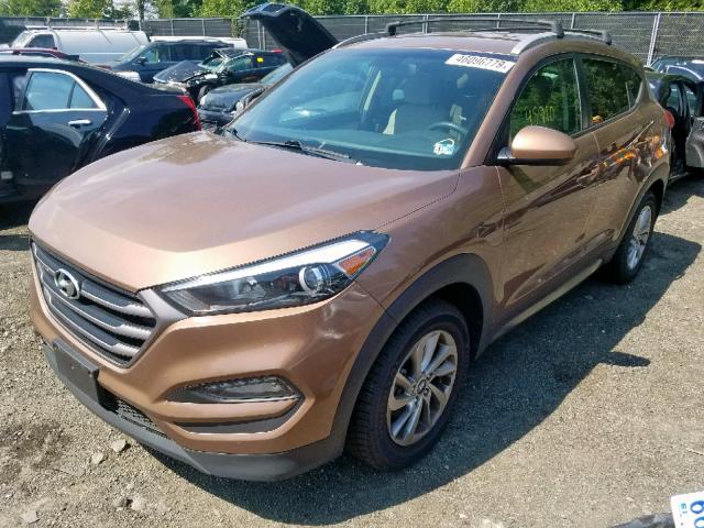 KM8J3CA42GU204263 - 2016 HYUNDAI TUCSON LIM BROWN photo 2