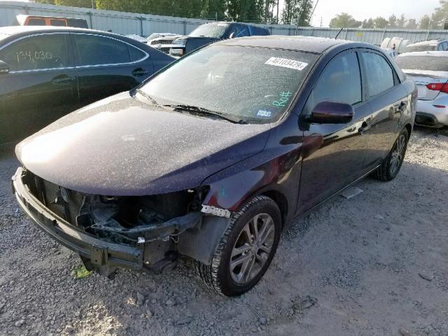 KNAFU4A25B5376847 - 2011 KIA FORTE EX PURPLE photo 2