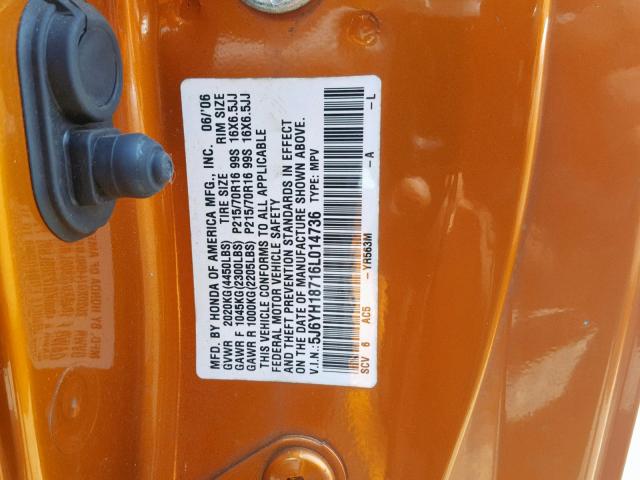 5J6YH18716L014736 - 2006 HONDA ELEMENT EX ORANGE photo 10