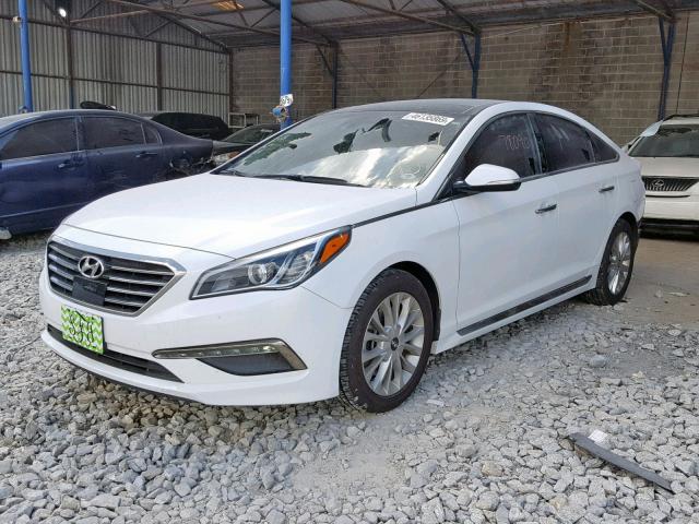 5NPE34AF4FH098355 - 2015 HYUNDAI SONATA SPO WHITE photo 2