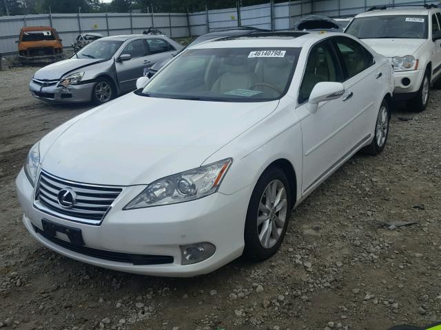 JTHBK1EG0A2353146 - 2010 LEXUS ES 350 WHITE photo 2