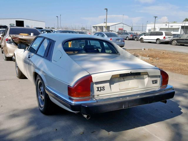 SAJNV584XHC138118 - 1987 JAGUAR XJS CREAM photo 3