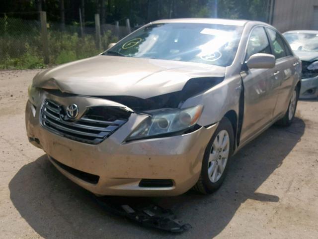 4T1BB46K99U086266 - 2009 TOYOTA CAMRY HYBR GOLD photo 2