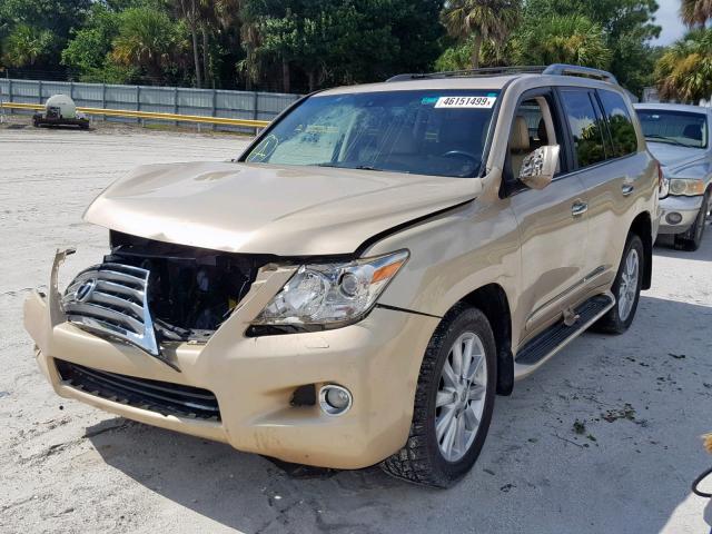 JTJHY7AX5A4045488 - 2010 LEXUS LX 570 GOLD photo 2