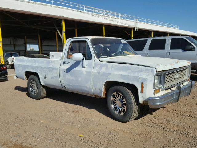 CCY243Z183026 - 1973 CHEVROLET CUSTOM DEL GRAY photo 1